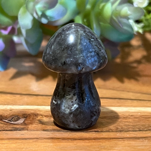 Labradorite Mushroom