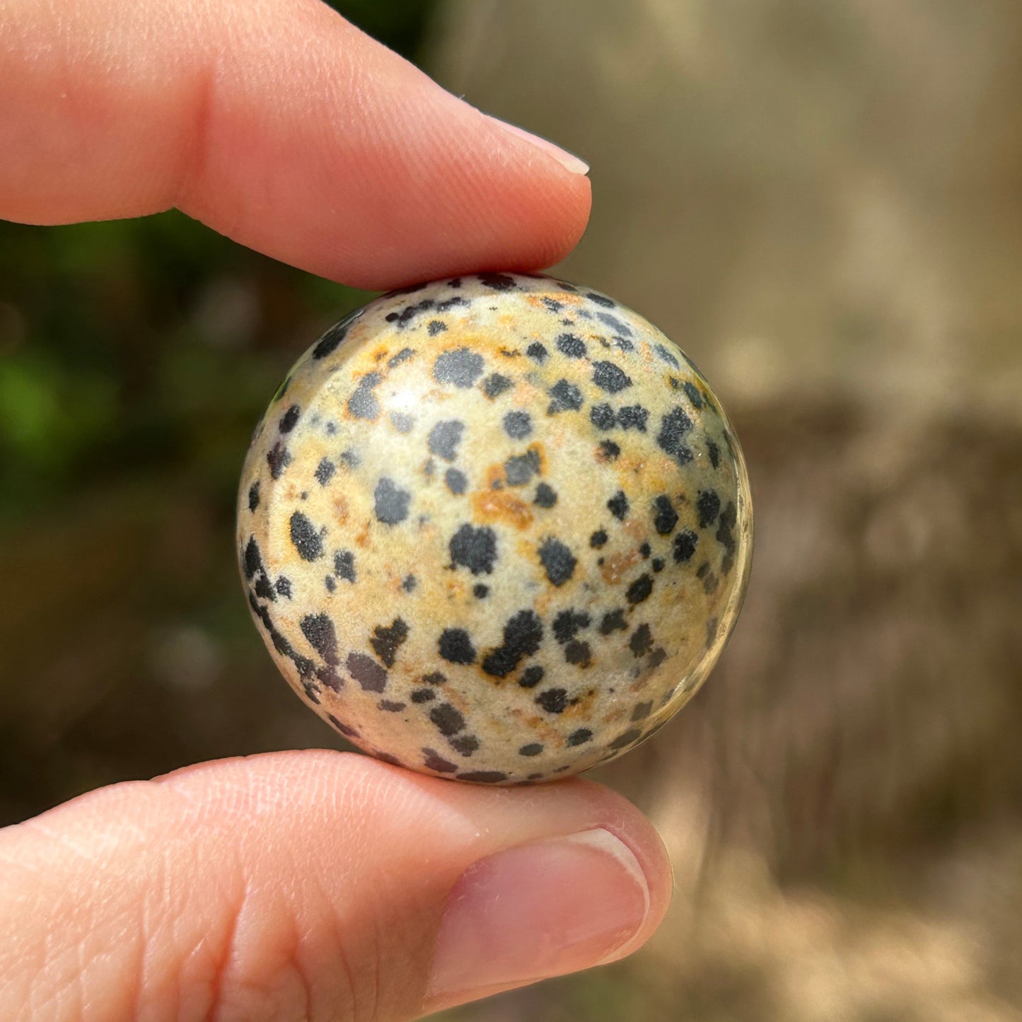 Dalmatian Jasper Sphere