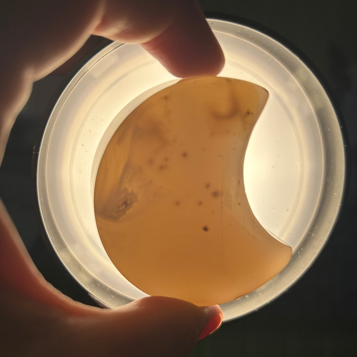 Dendritic Agate Moon