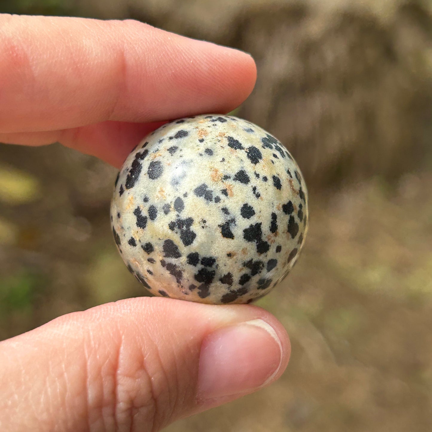 Dalmatian Jasper Sphere