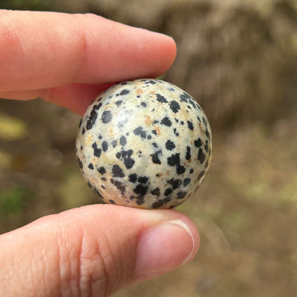 Dalmatian Jasper Sphere