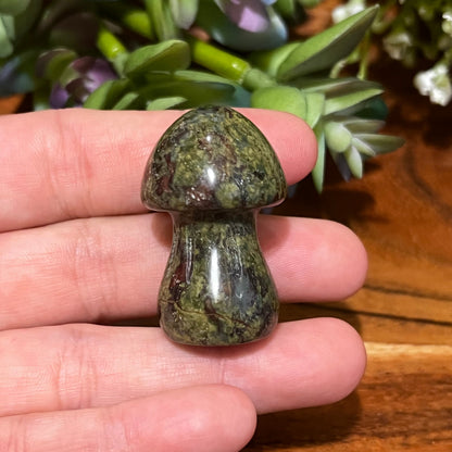 Dragon Blood Jasper Mushroom